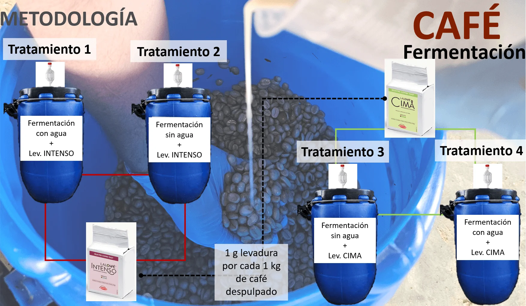 Metodología de Café