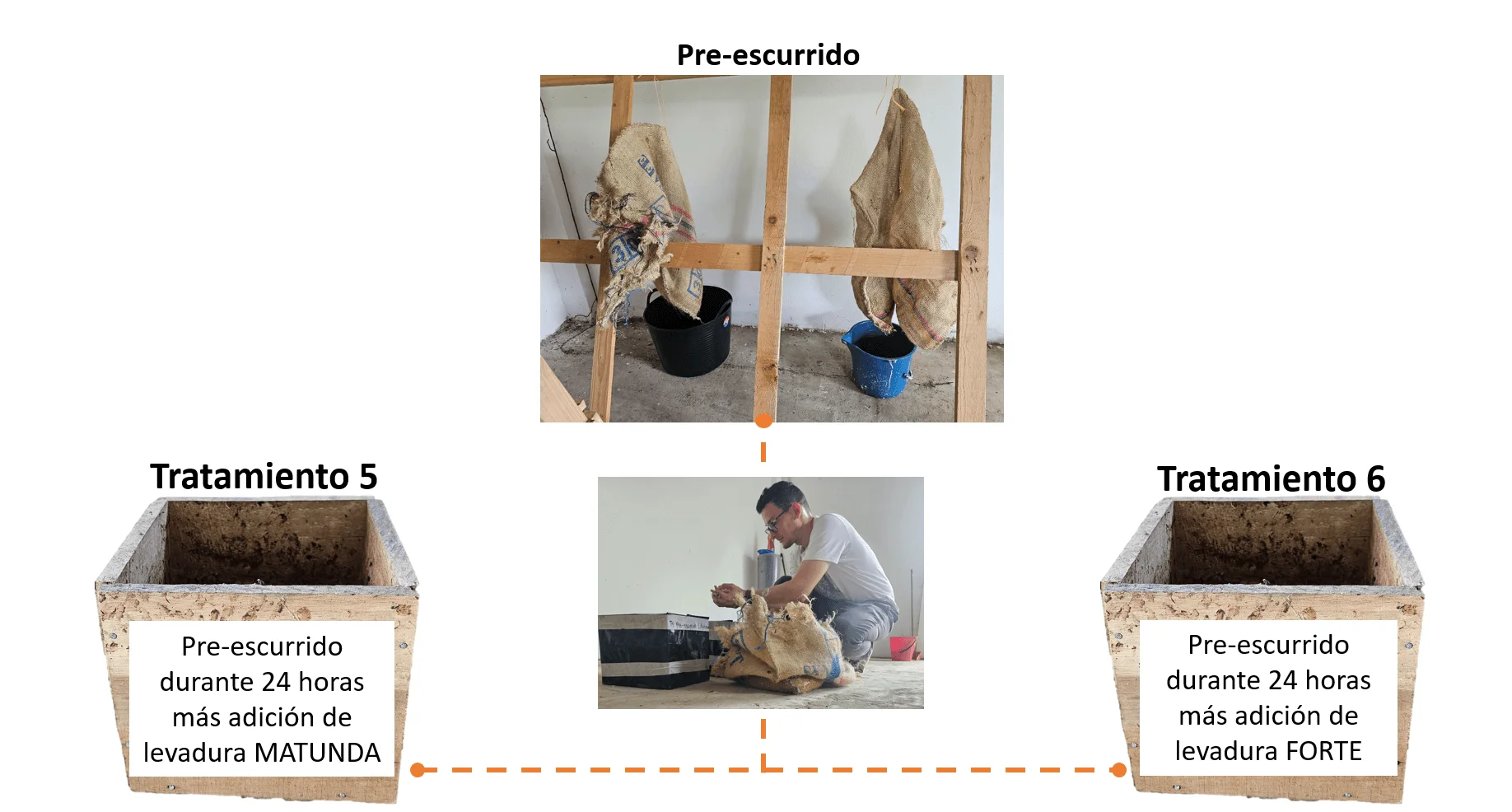 Proceso Prescurrido