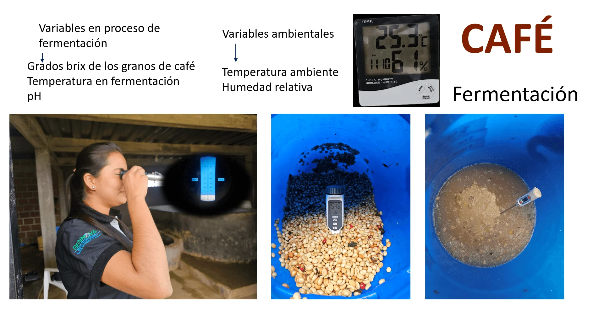 Fermentación de Café