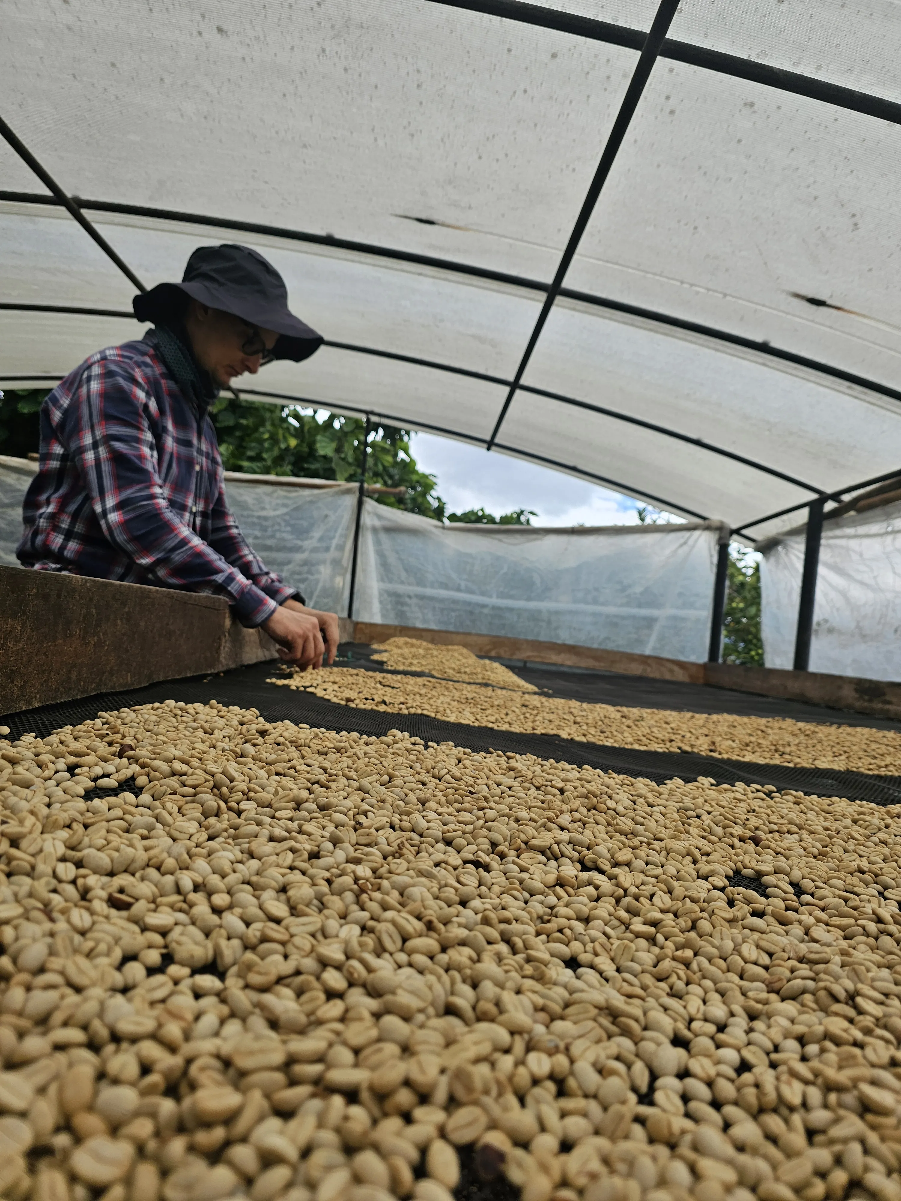 Otra foto de la finca