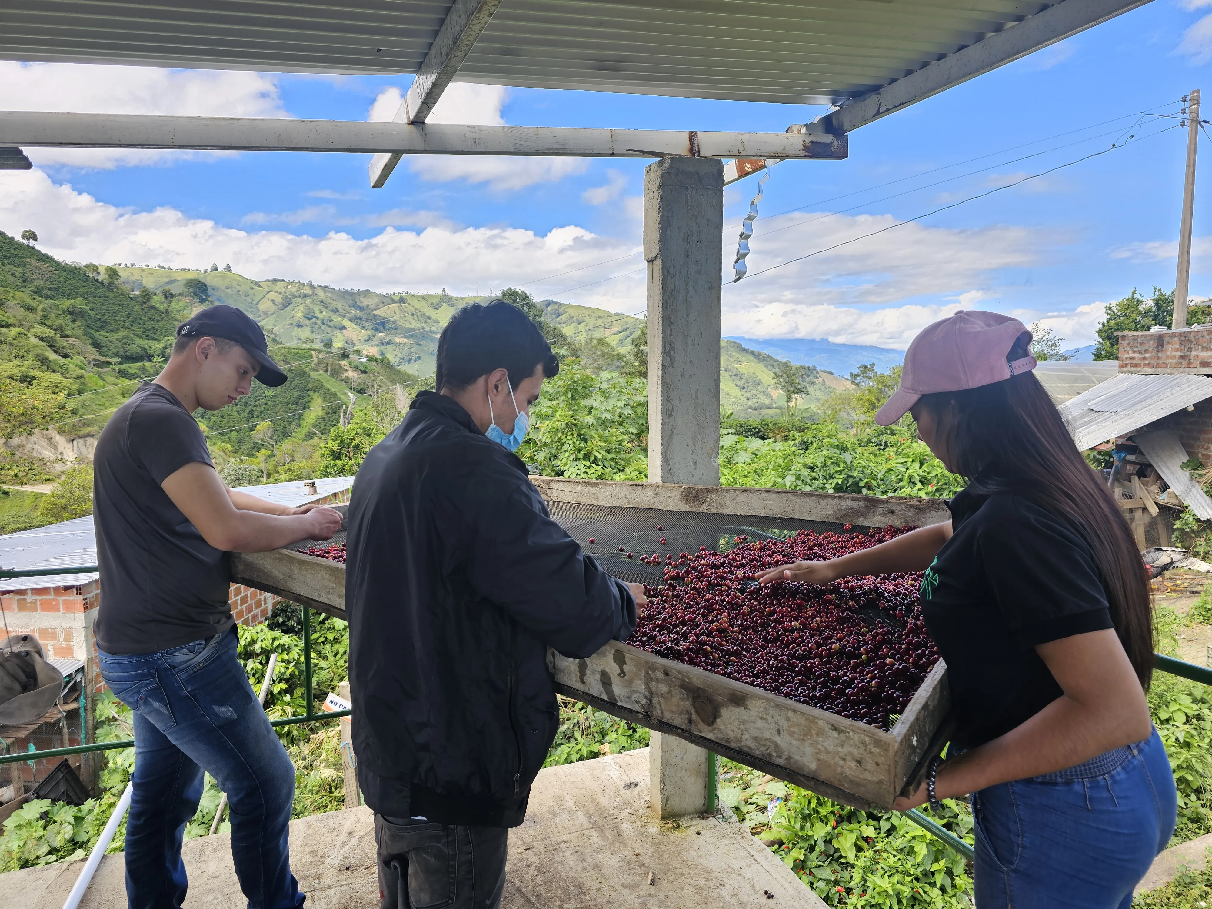 Imagen de Mirador Monte Café